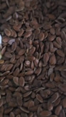 تخم کتان 200 گرمی نیوشا . چربی سوز قوی و...